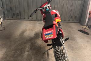 Moto grizzly 12 50cc