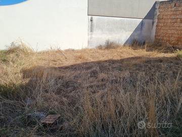 Terreno edificabile