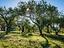 Immagine 25