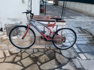 Bici 26"