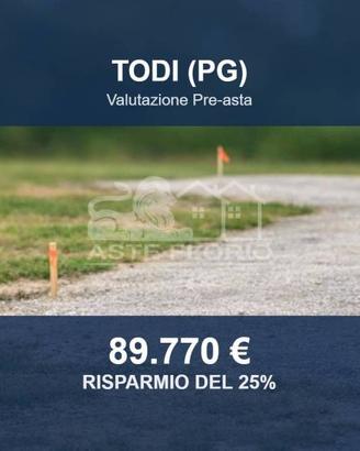 Immobile in asta di 15610 m² a Todi