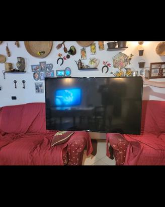 Tv  BOLVA  65 "