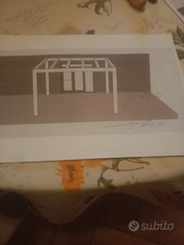 Pergola/Tettoia