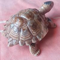 Statuetta Tartaruga porcellana