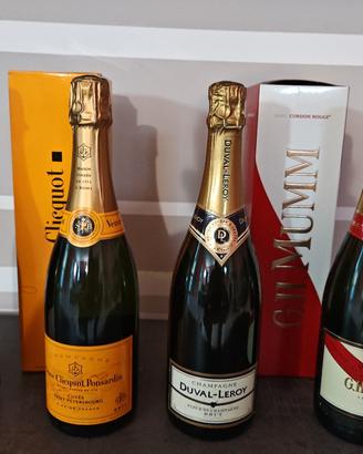 lotto champagne 
