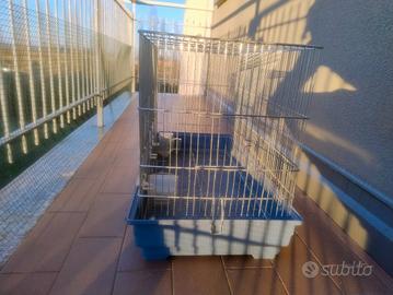 gabbia pappagalli 