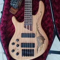 Cort Artisan 5 corde mancino