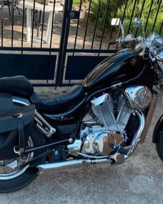 Suzuki intruder 