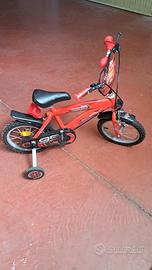 bici Cars raggio 17
