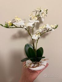 Orchidea finta