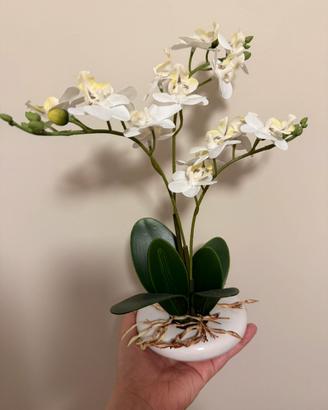 Orchidea finta