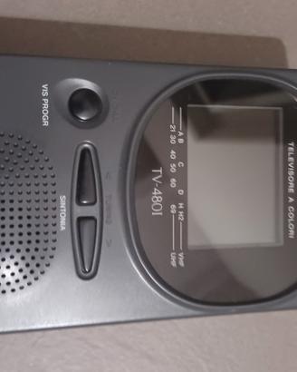 TV portatile CASIO (no digitale terrestre)
