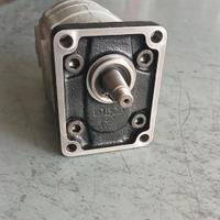 Pompa doppia in ghisa