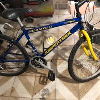 Bicicletta24