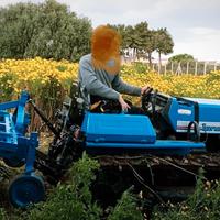 Landini cingolato 5830
