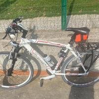 bicicletta marchio bottecchia uomo