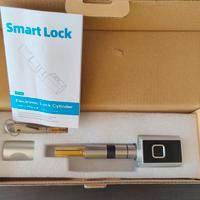  Serratura Elettronica , smart Lock YL-80