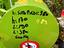 Immagine 2