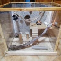 Teca plexiglass per animali