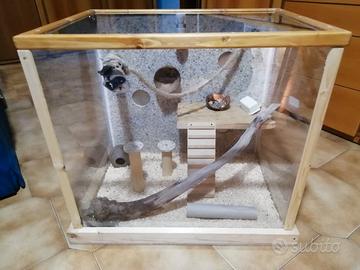 Teca plexiglass per animali