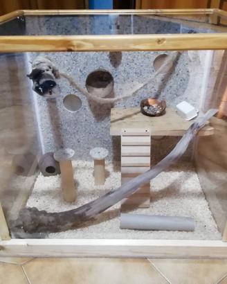 Teca plexiglass per animali