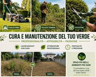 erba giardino 