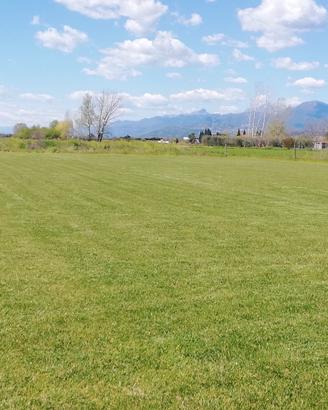 Parco in terreno agricolo
