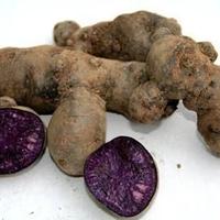 Semi per piantare la patata nera con polpa viola