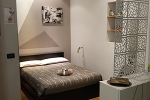 Ampio Monolocale vicino a Porta Susa