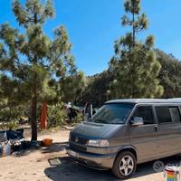 Weatfalia t4 Volkswagen