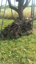 legna da ardere già stagionata