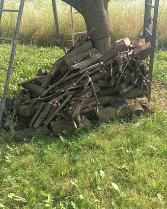 legna da ardere già stagionata