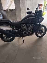 Harley panamerica 1250