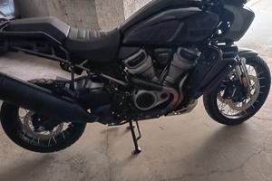 Harley panamerica 1250