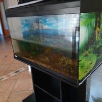 acquari