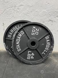 Dischi 20 kg in Ghisa 50 mm