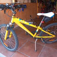 bicicletta bambino 