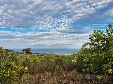 Terreno con progetto di villa certificato di 170mq