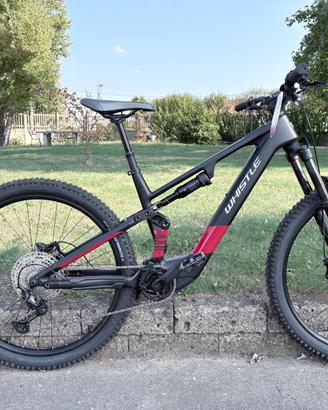 e-bike WHISTLE AXR CA 5.6