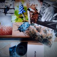 viltrox 23mm f1.4 per fuji