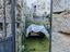 Immagine 6