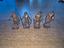 Immagine 5