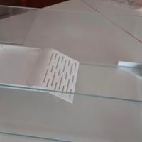 tartarughiera acquario