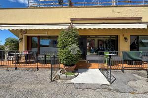 ATTIVITÀ A SIRMIONE