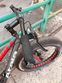 Fat Bike / MTB muscolare –