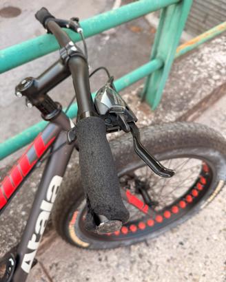 Fat Bike / MTB muscolare –