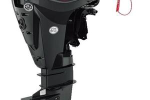 Ricambi per Evinrude Etec 25/30