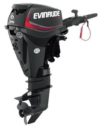 Ricambi per Evinrude Etec 25/30