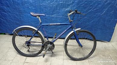 Bicicletta mountain bike Adulto California