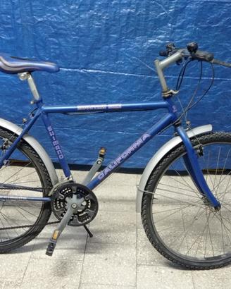 Bicicletta mountain bike Adulto California